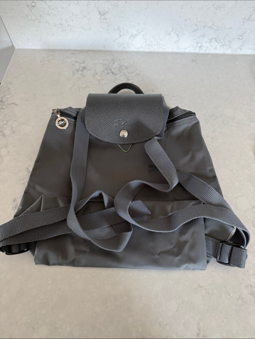 Longchamp Small Nylon Backpack in Charcoal Gray